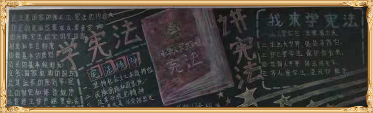 新利公司网址学宪法讲宪法 活动开展简报 第九期