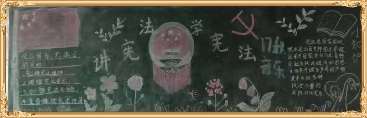 新利公司网址学宪法讲宪法 活动开展简报 第九期