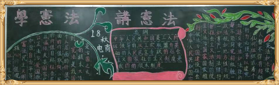 新利公司网址学宪法讲宪法 活动开展简报 第九期