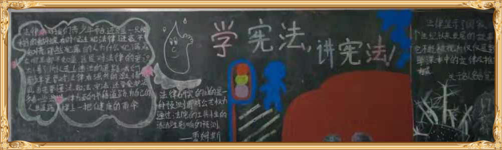 新利公司网址学宪法讲宪法 活动开展简报 第九期