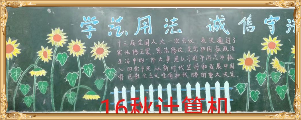 新利公司网址学宪法讲宪法 活动开展简报 第九期